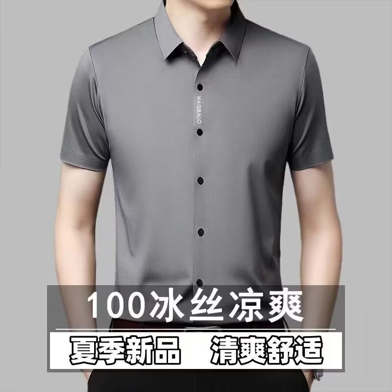 MenS Wrinkle Free Long Sleeve  – Men Formal Wear In Summer recenzja i cena